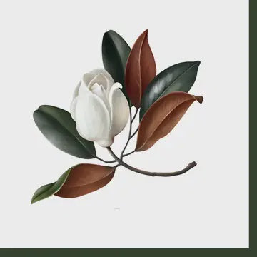 Byron & Yorke Magnolia Dinner Napkin 20ct