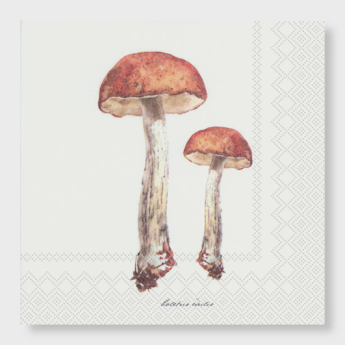 Manor Road Porcini Cocktail Napkins 20Pk