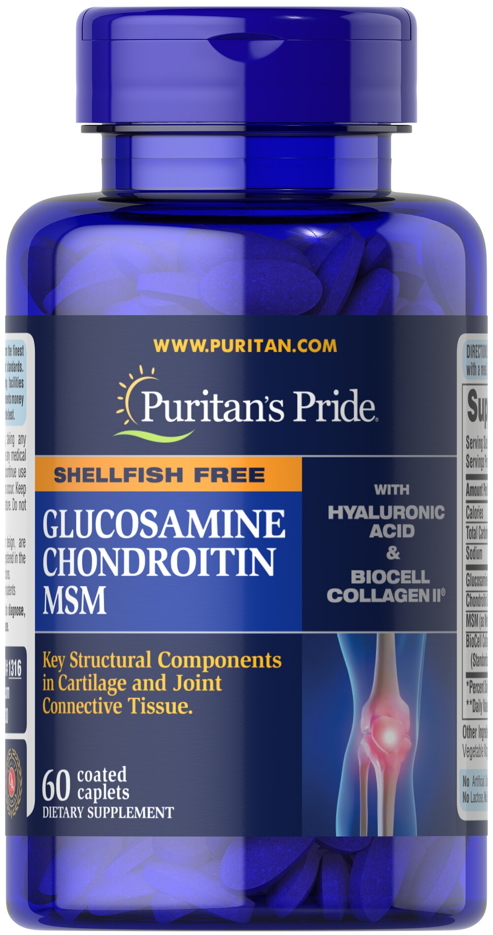 Puritan's Pride Glucosamine Chondroitin MSM 60ct