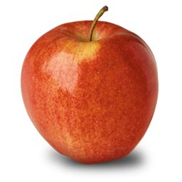 Fresh Gala Apple 1ct