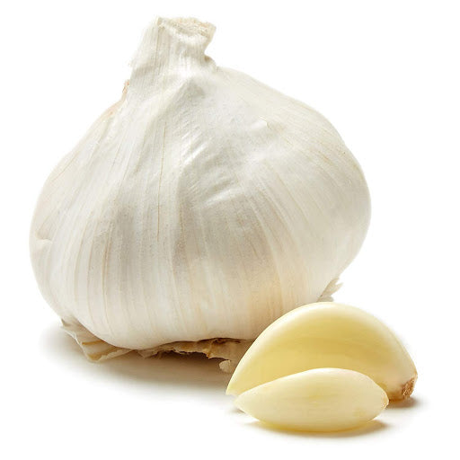 Fresh Garlic 1ct