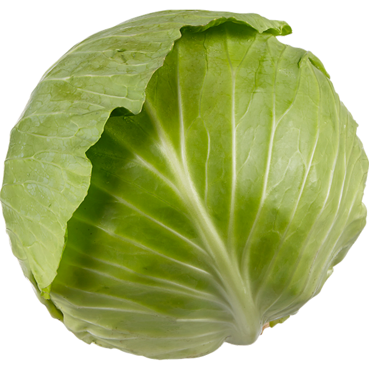 Fresh Cabbage 1ct