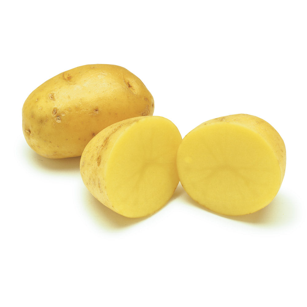 Fresh Yukon Gold Potatoes 5lb