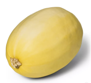 Fresh Spaghetti Squash per lb