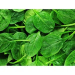 Fresh Baby Spinach 5oz