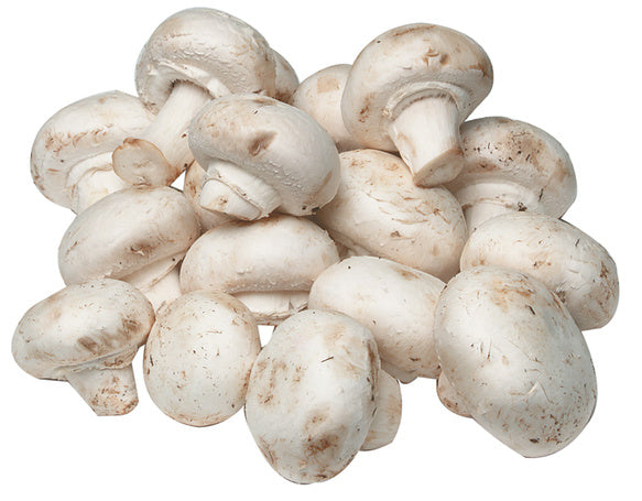 Fresh Whole White Mushrooms 10oz