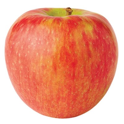 Fresh Honeycrisp Apples 1ct